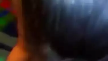 Desi lover sucking dick